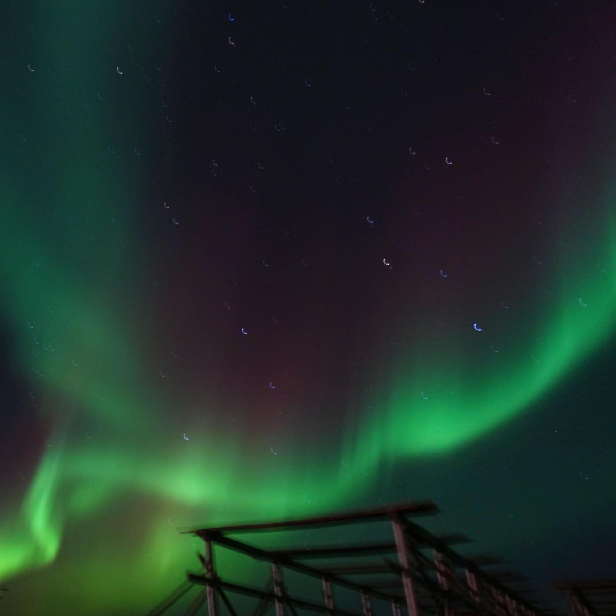 Lofoten Seaside بولستاد المظهر الخارجي الصورة